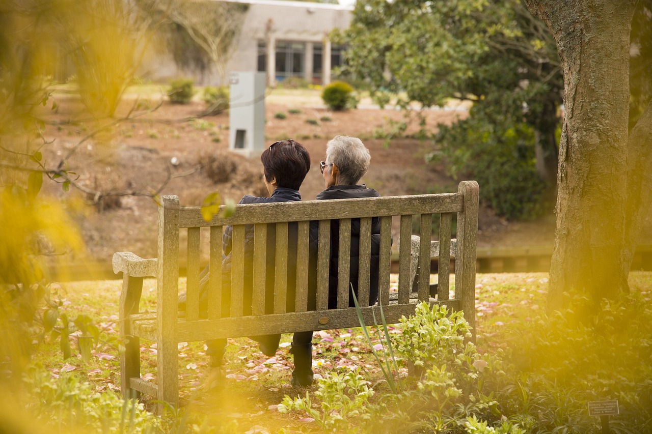family, grandma, grandmother-4989137.jpg